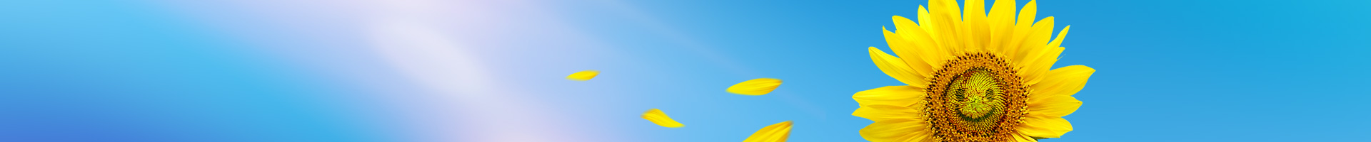 1907640705530531840