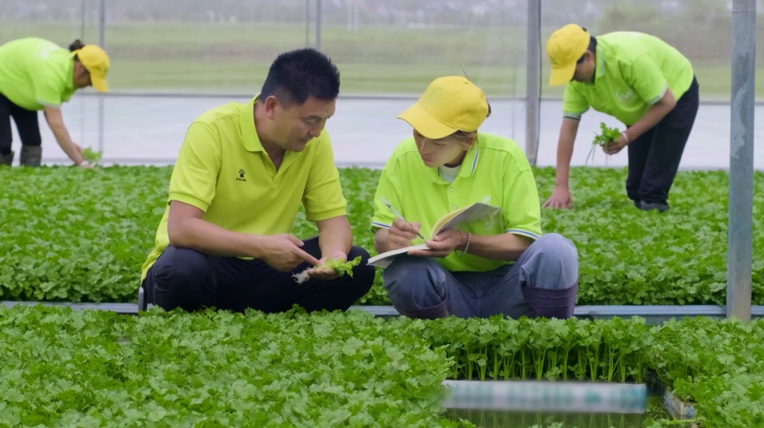 首页- 不朽情缘电子游戏官网