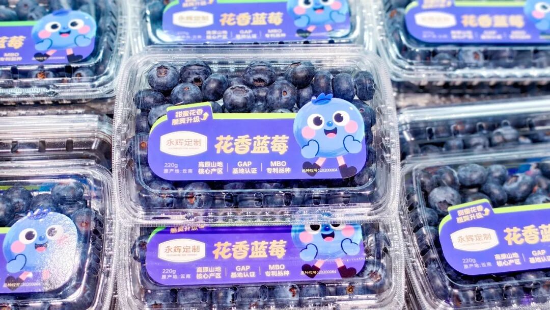 2029031920201633792 首页- 不朽情缘电子游戏官网
