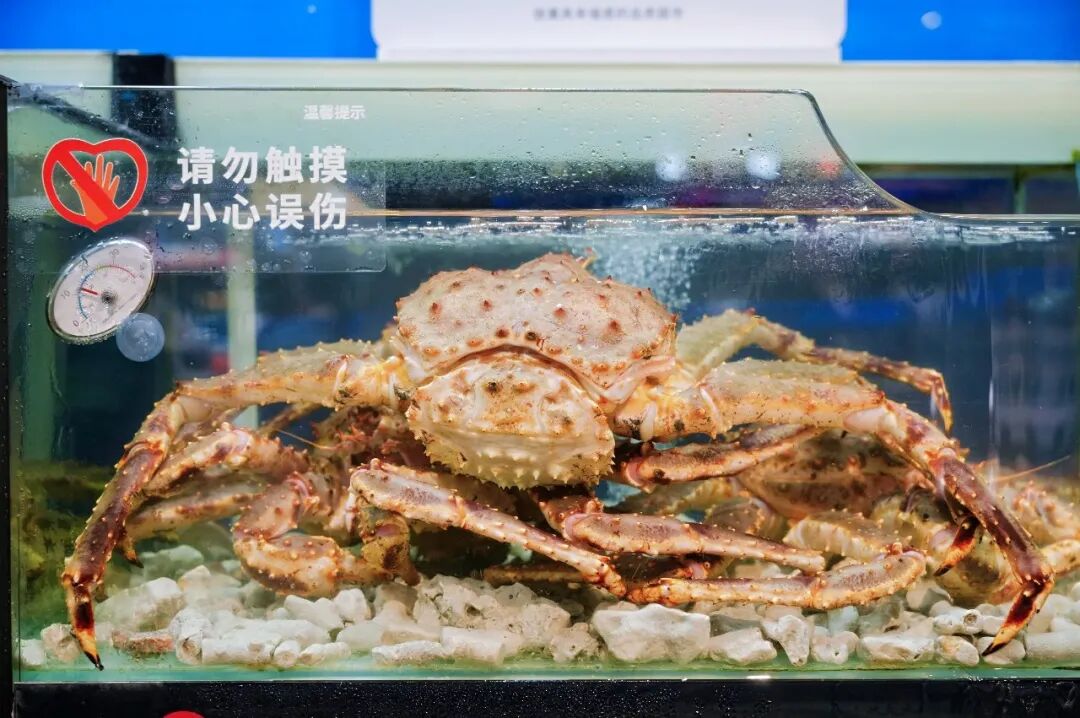 2029032096681168896 首页- 不朽情缘电子游戏官网