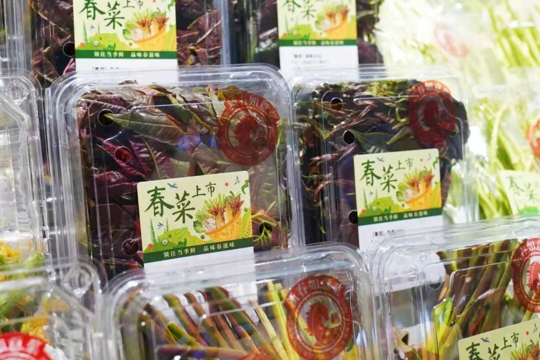 首页- 不朽情缘电子游戏官网
