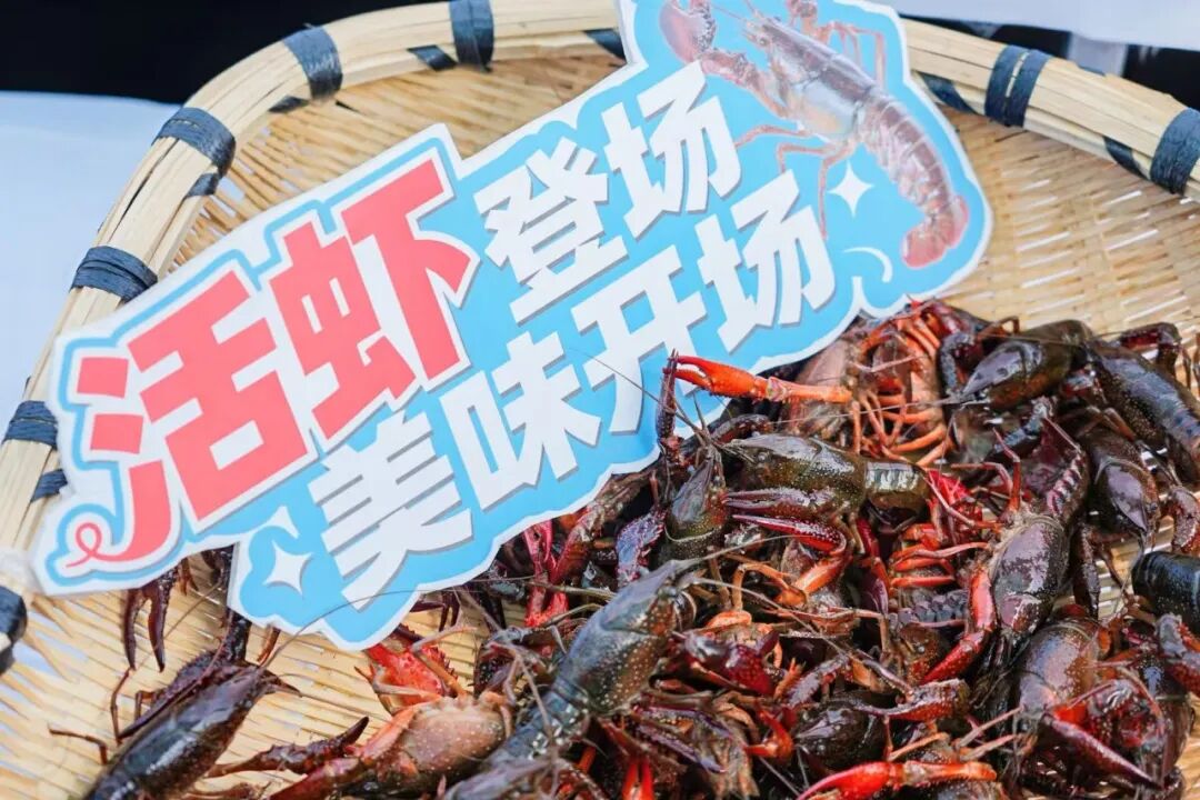 2052638169484759040 首页- 不朽情缘电子游戏官网