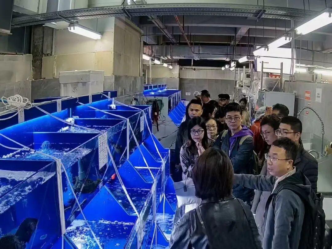 2052640363697147904 首页- 不朽情缘电子游戏官网