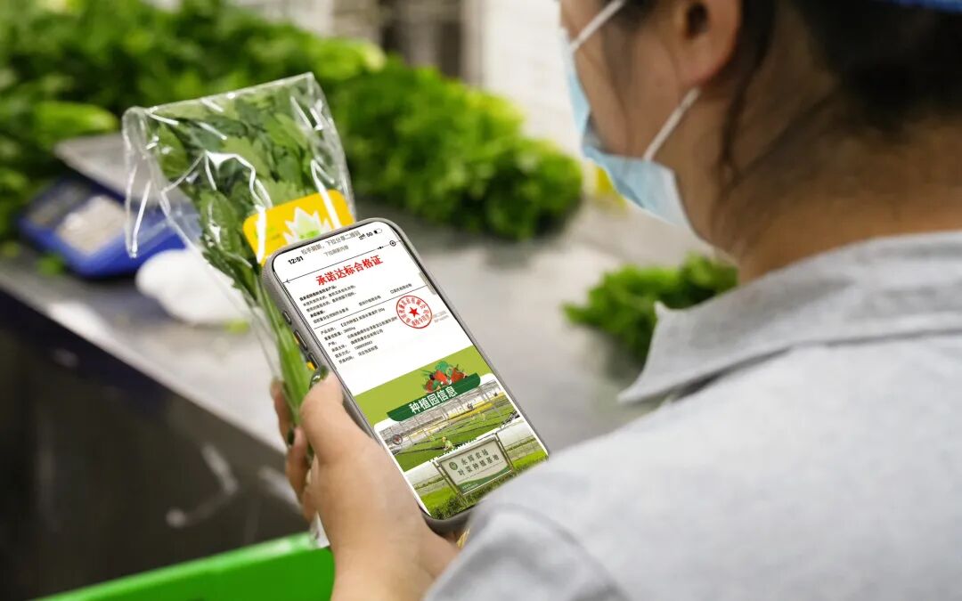 首页- 不朽情缘电子游戏官网