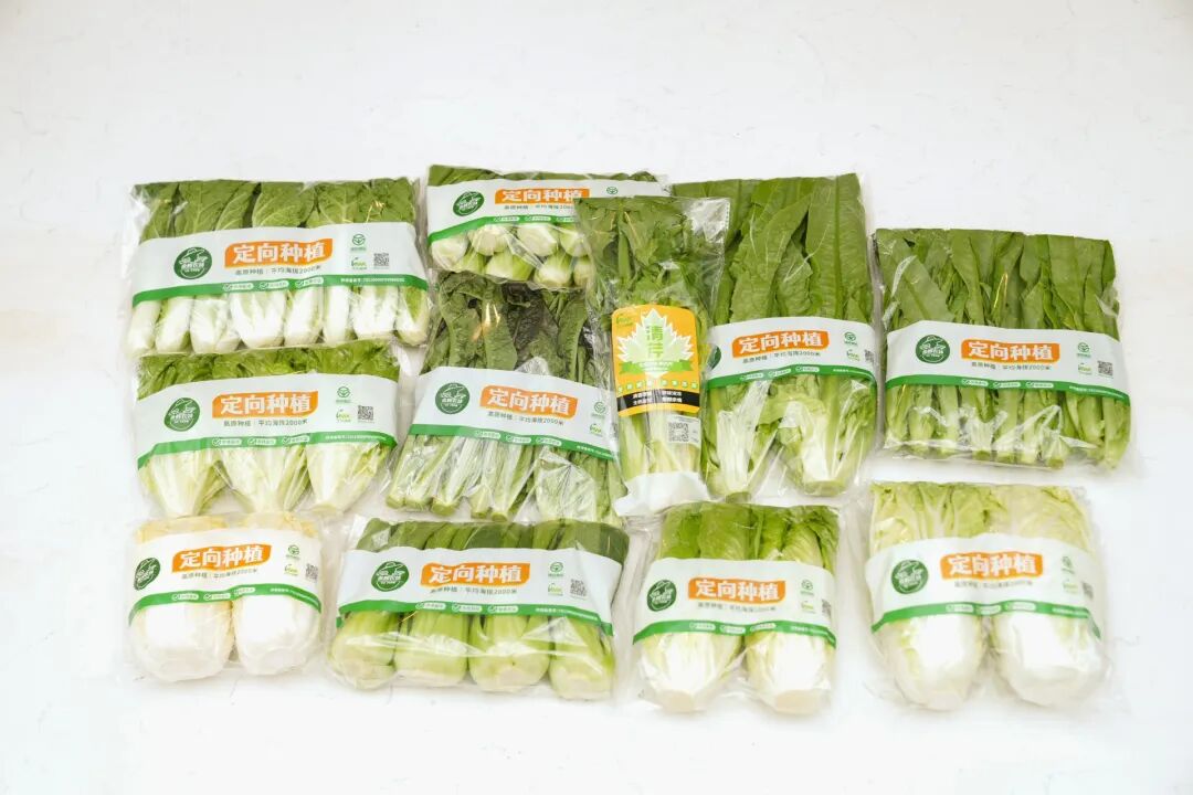 首页- 不朽情缘电子游戏官网