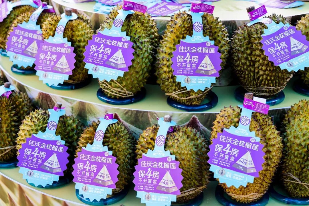 2061267453918941184 首页- 不朽情缘电子游戏官网