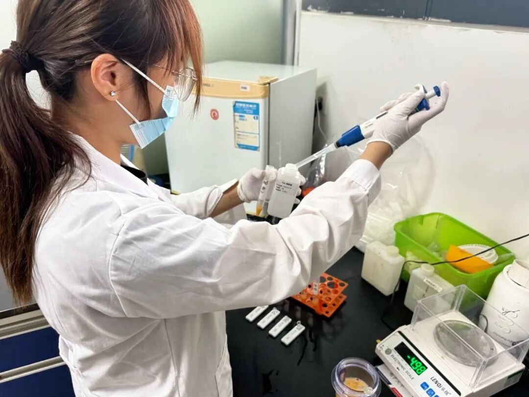 首页- 不朽情缘电子游戏官网