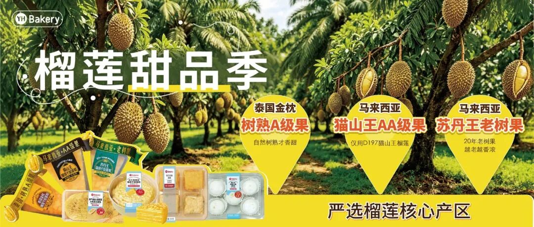 首页- 不朽情缘电子游戏官网