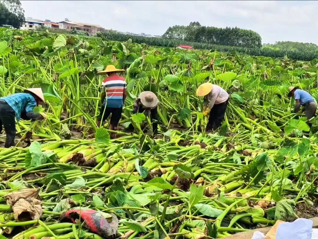 首页- 不朽情缘电子游戏官网