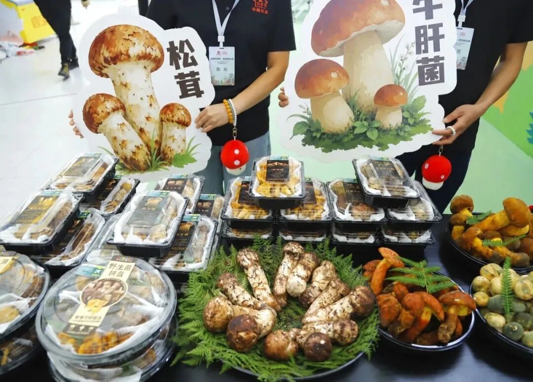 首页- 不朽情缘电子游戏官网