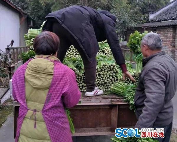 首页- 不朽情缘电子游戏官网
