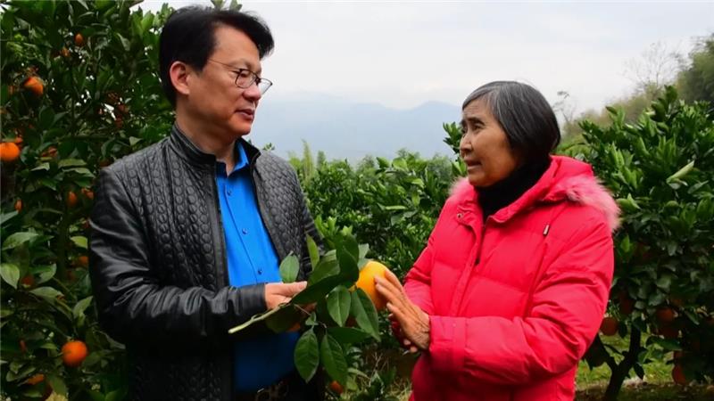 首页- 不朽情缘电子游戏官网
