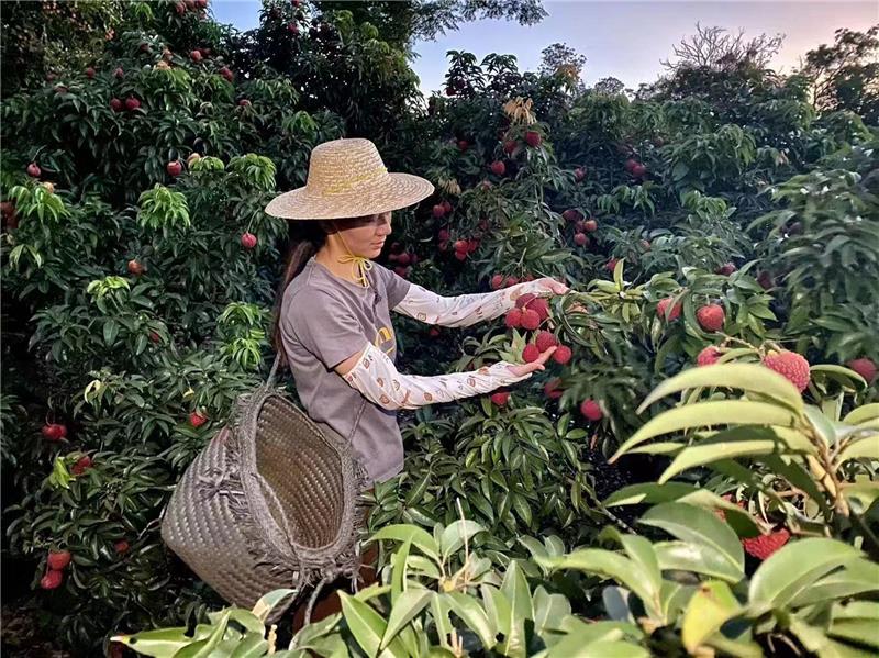 首页- 不朽情缘电子游戏官网