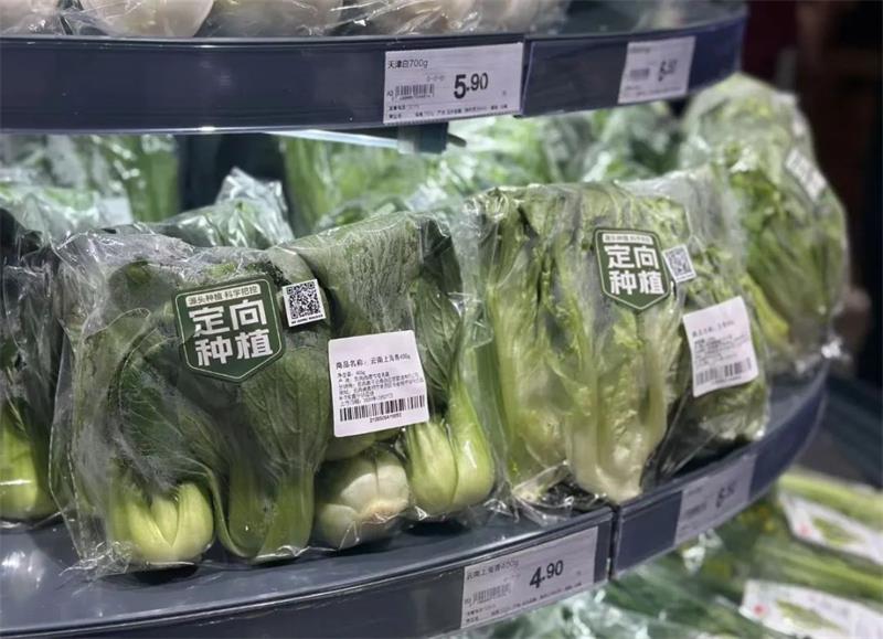 20241230101436_9132 首页- 不朽情缘电子游戏官网
