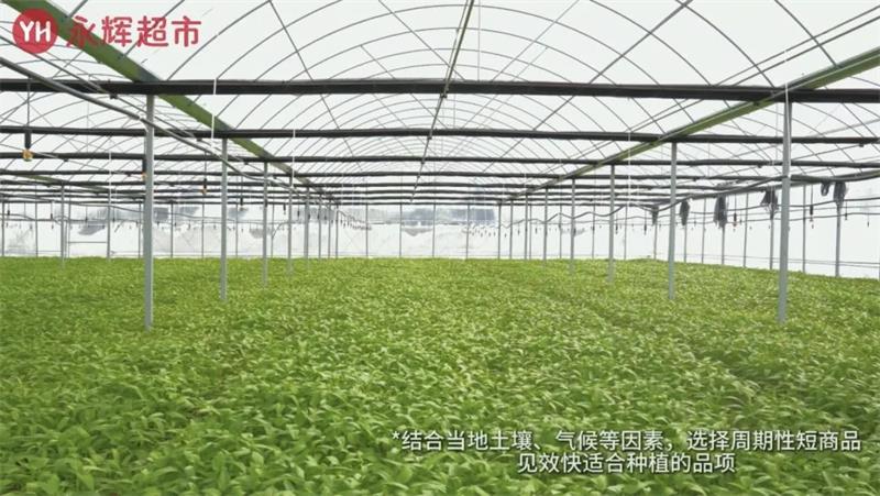 20250116153411_5478 首页- 不朽情缘电子游戏官网